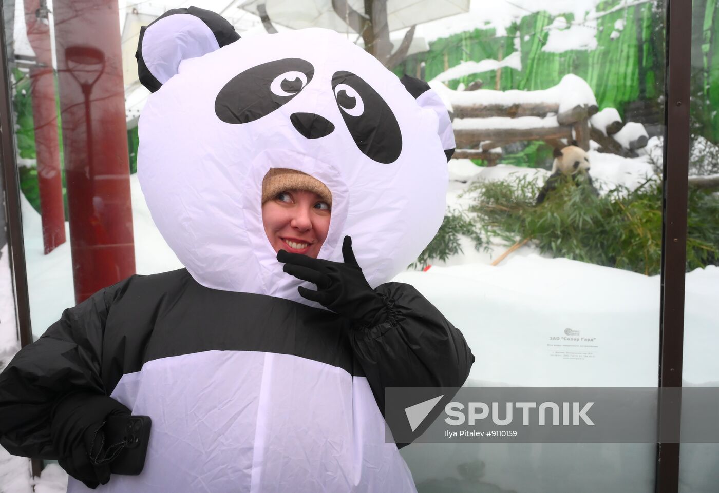 Russia Zoo Chinese New Year Celebrations