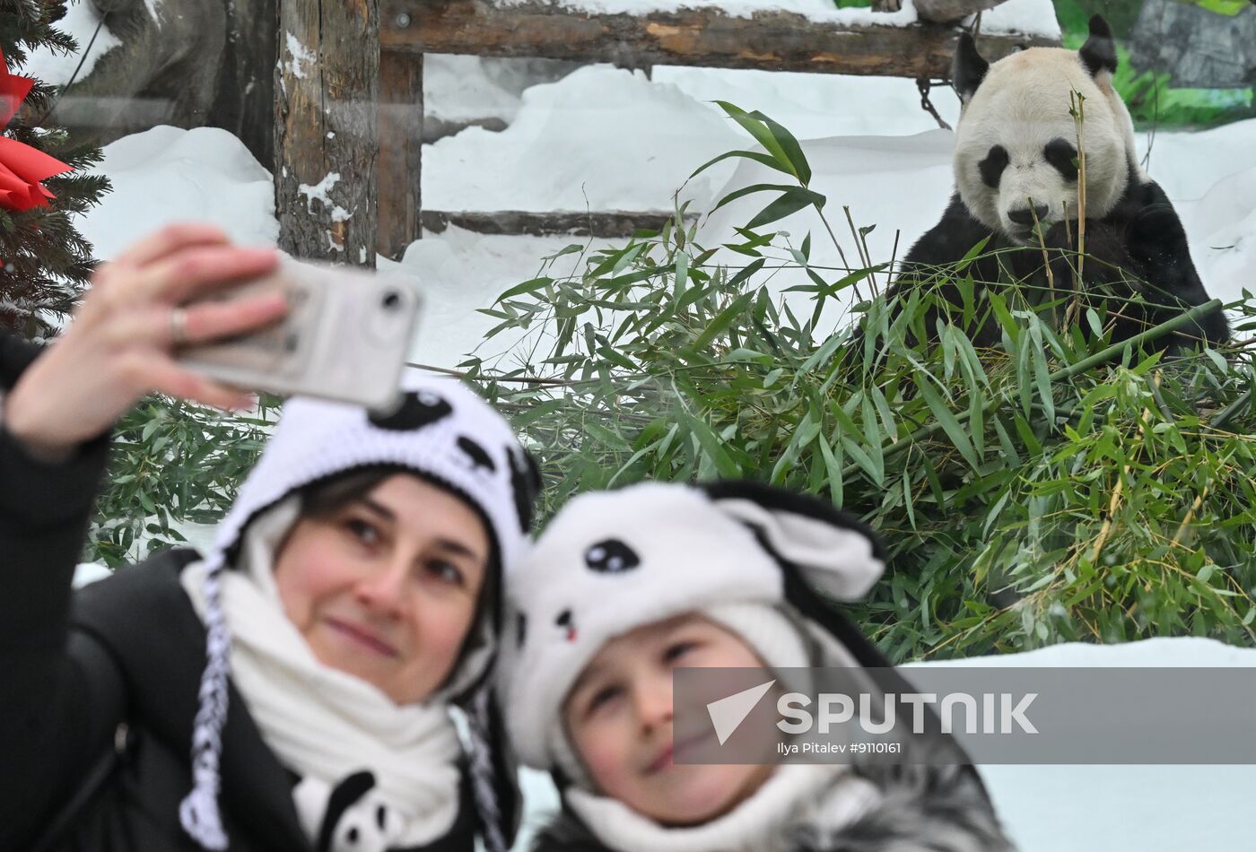 Russia Zoo Chinese New Year Celebrations