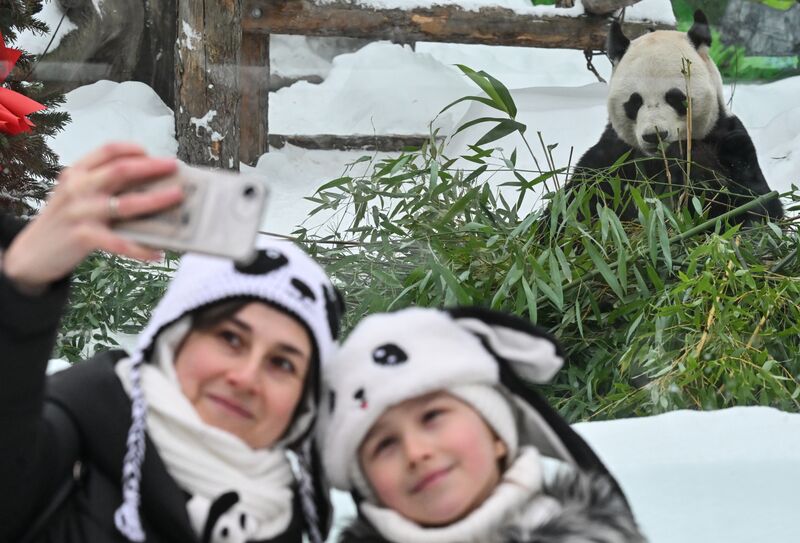 Russia Zoo Chinese New Year Celebrations