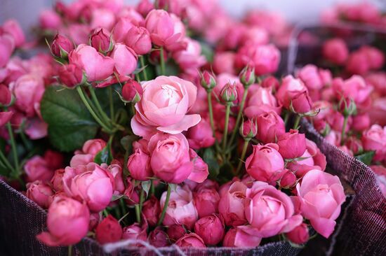 Russia Flower Growing