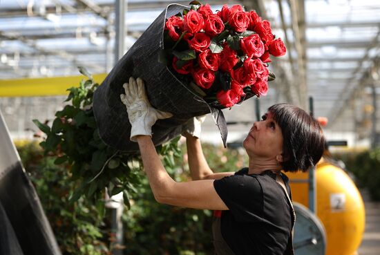 Russia Flower Growing