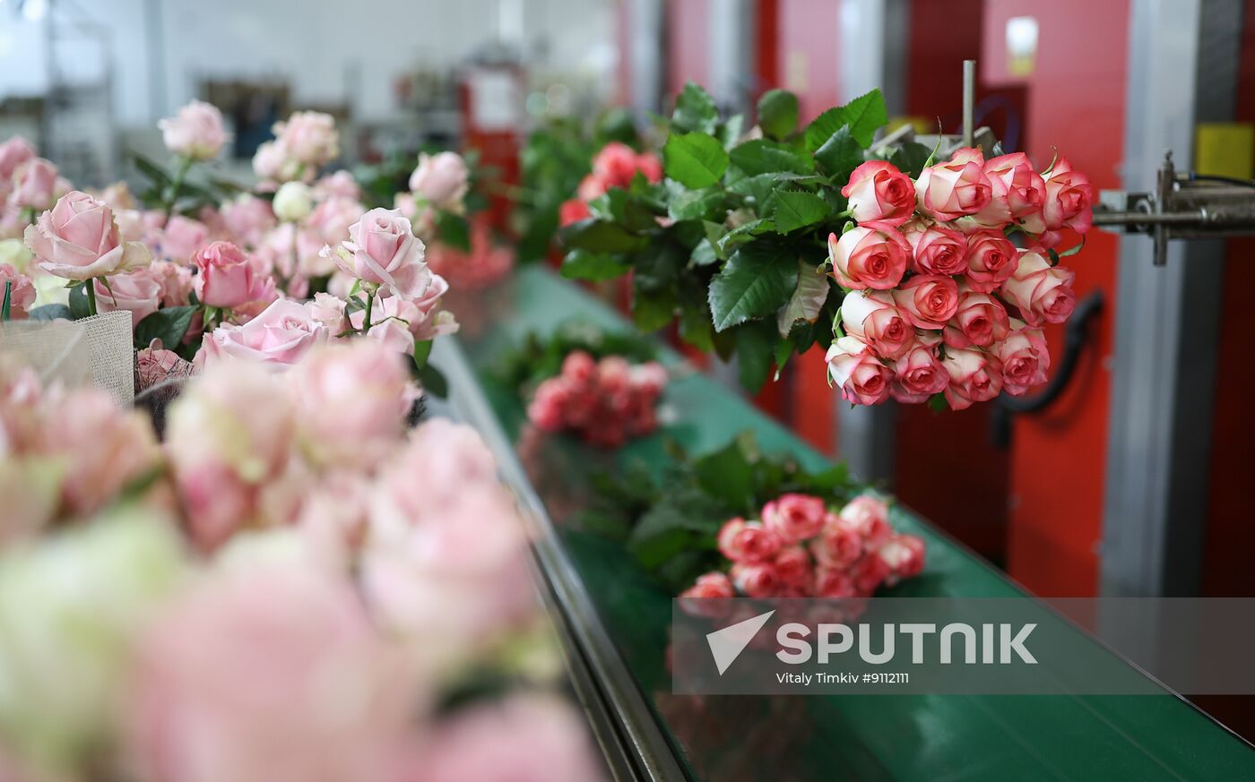 Russia Flower Growing