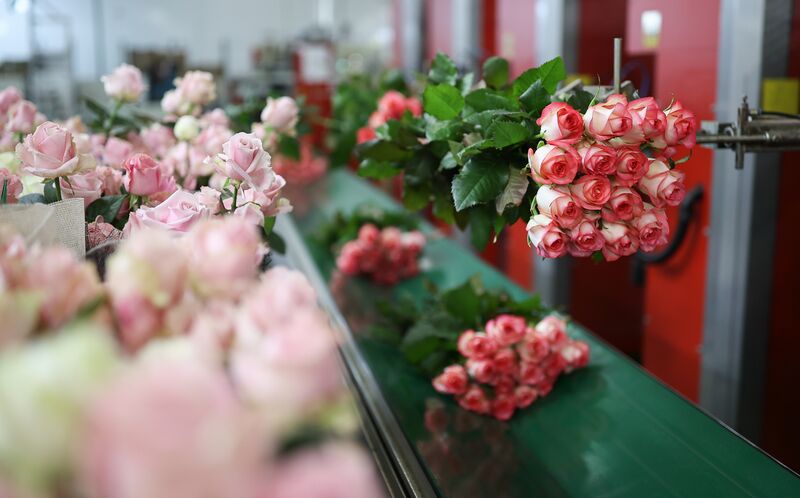 Russia Flower Growing