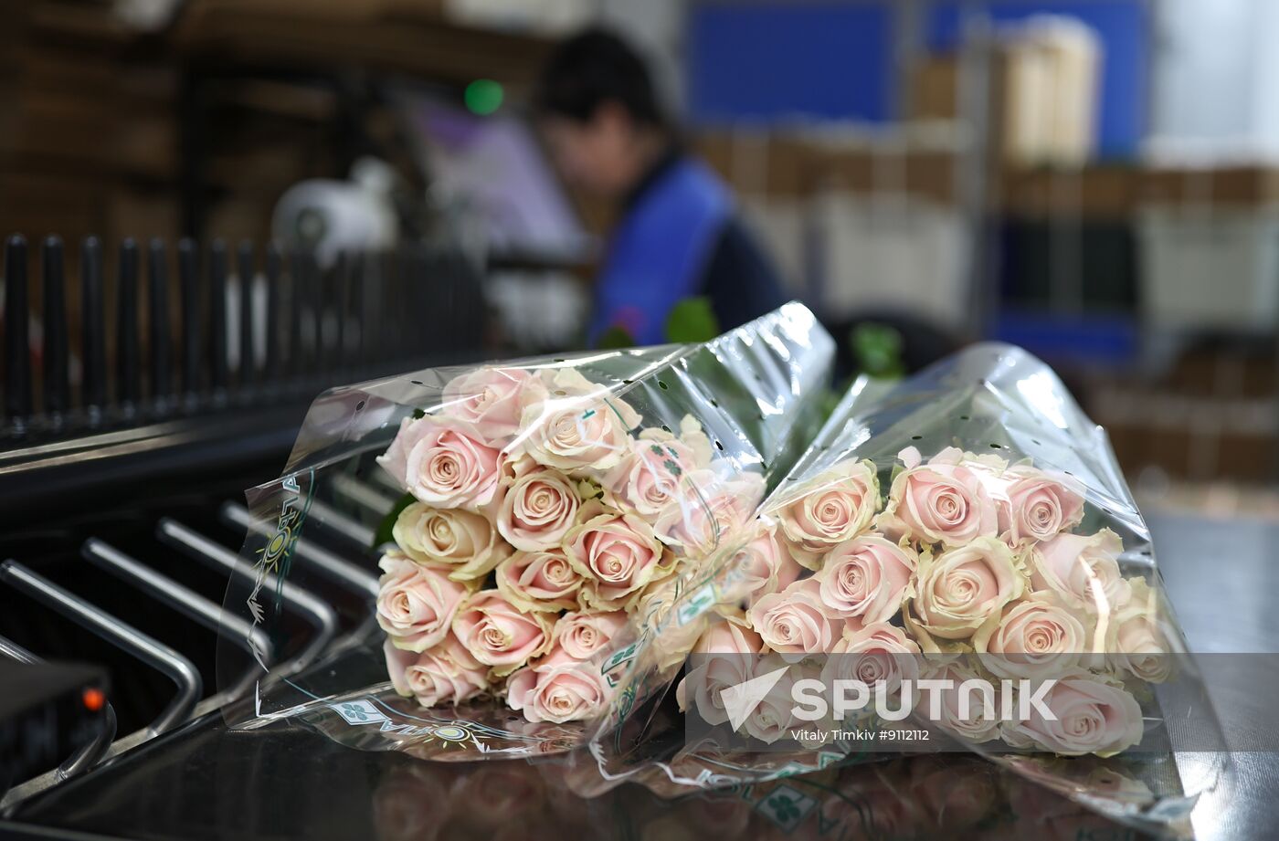 Russia Flower Growing