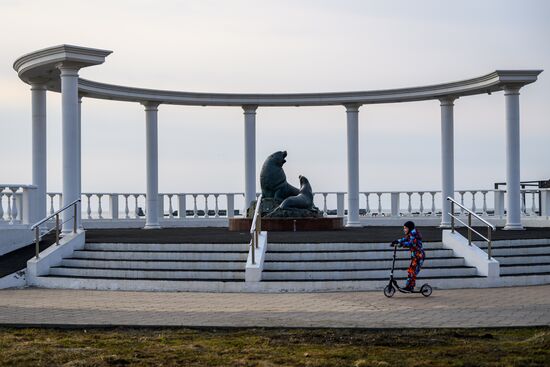 Russia Far East Wildlife