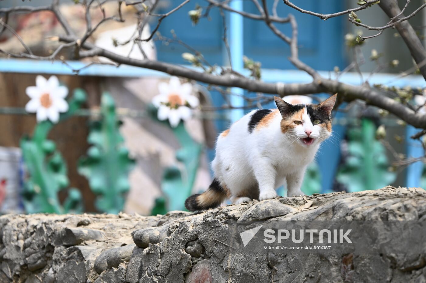 Russia Floods Dagestan
