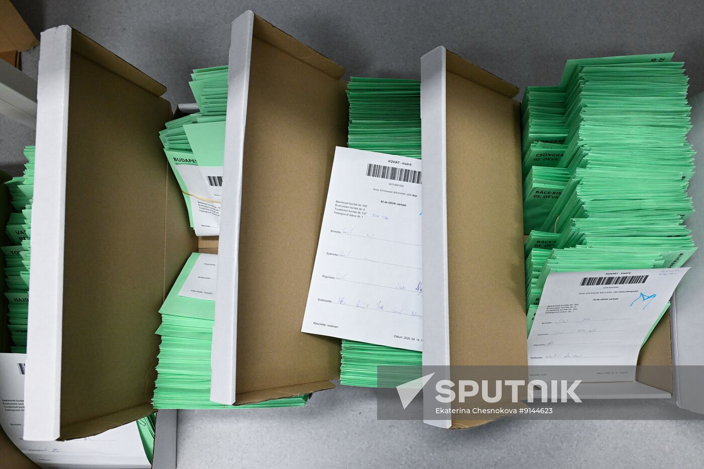 Hungary Parliamentary Election
