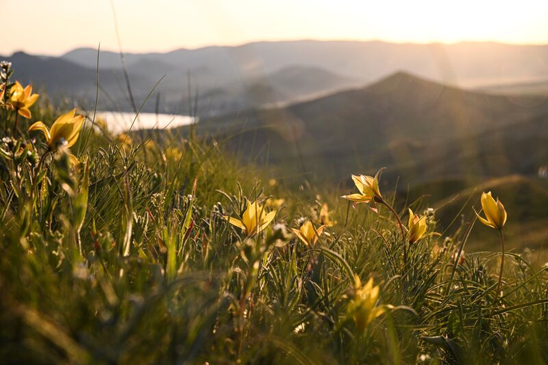 Russia Crimea Environment