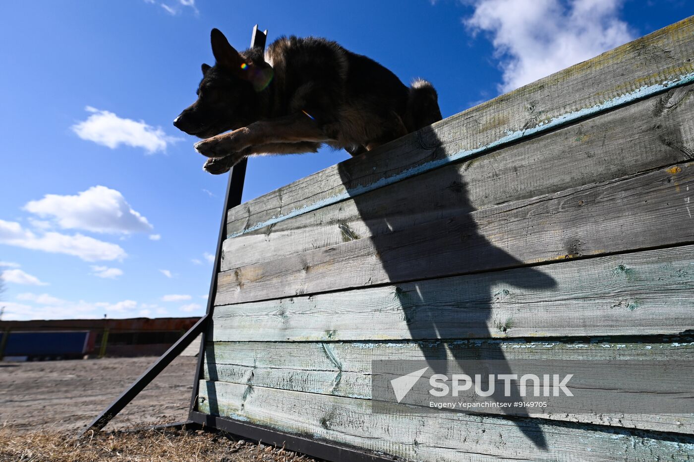 Russia Customs Service