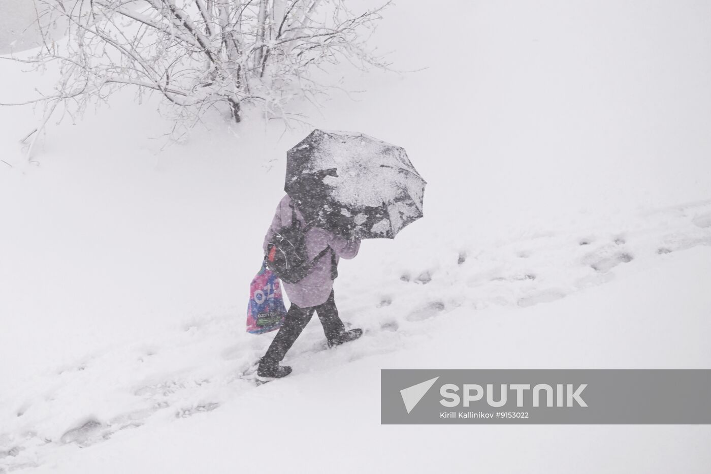 Russia Weather