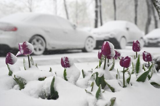 Russia Weather