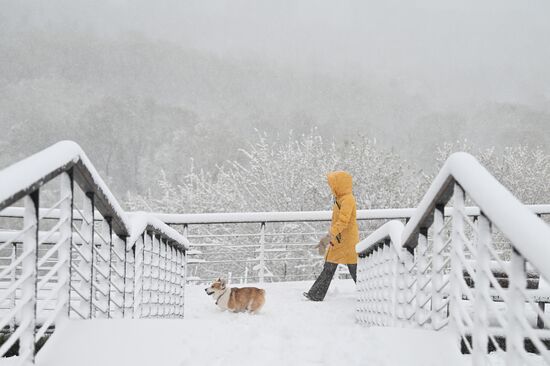 Russia Weather