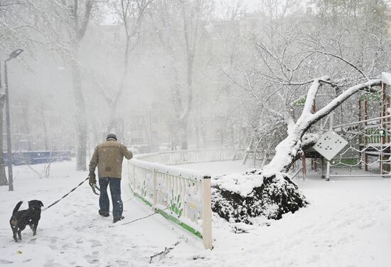 Russia Weather