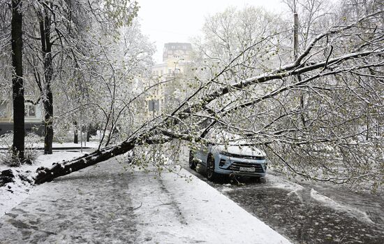Russia Weather