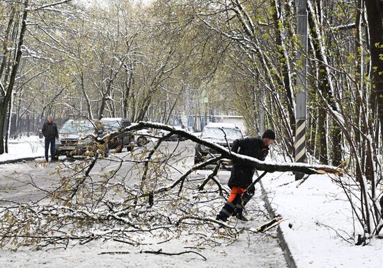 Russia Weather