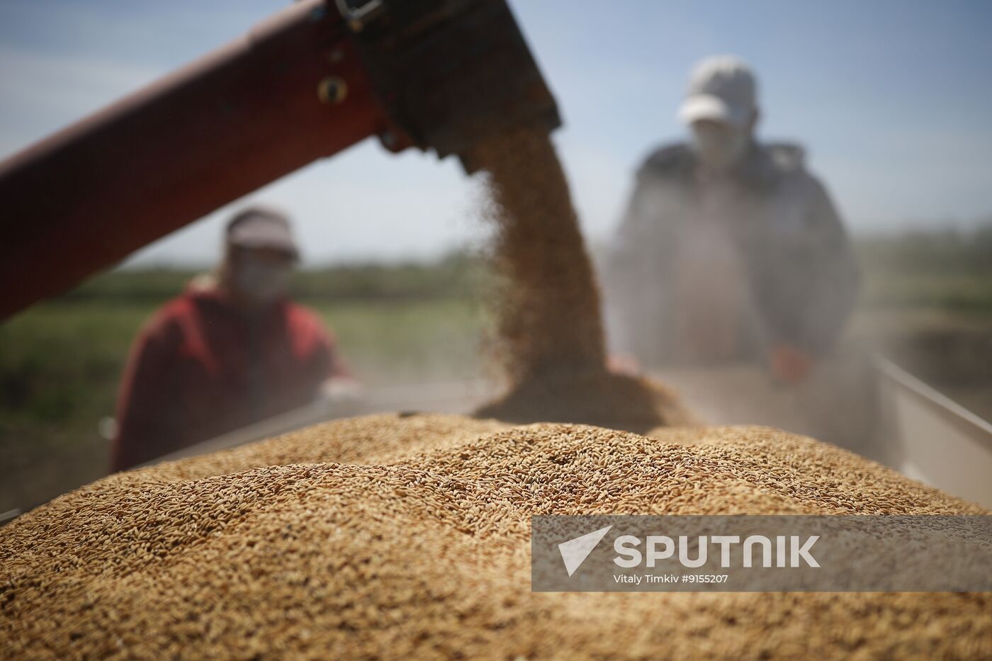 Russia Agriculture Rice Sowing