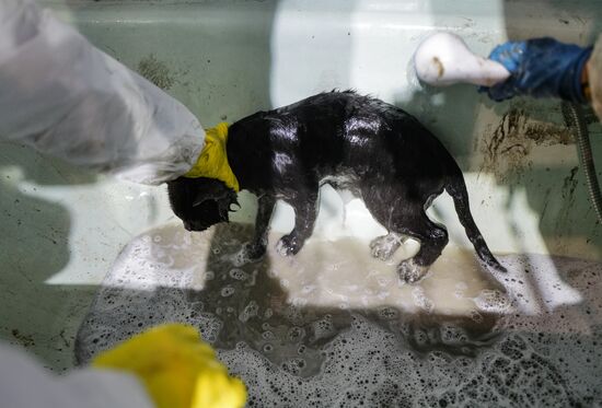 Russia Oil Refinery Fire Aftermath