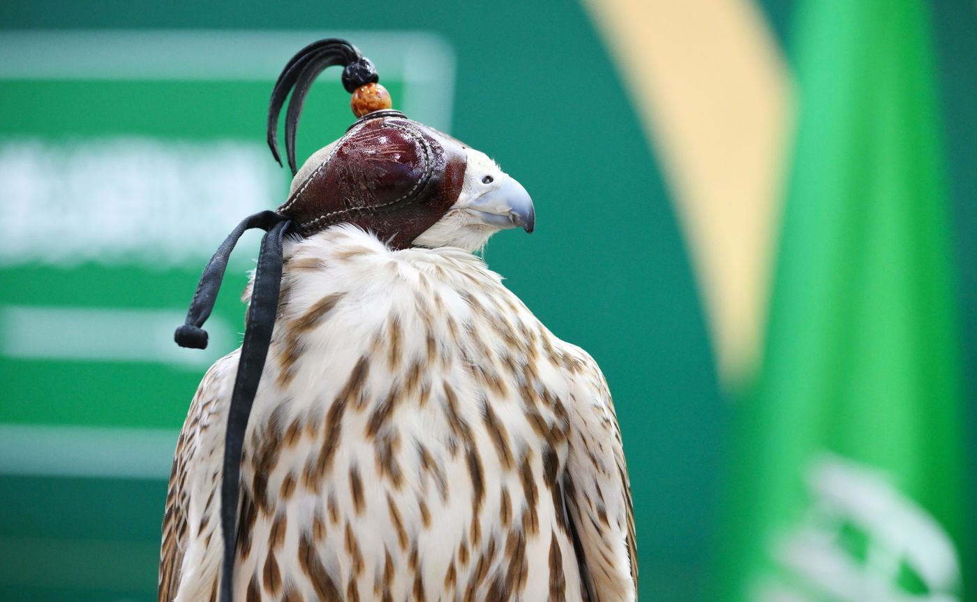 KAZANFORUM 2026