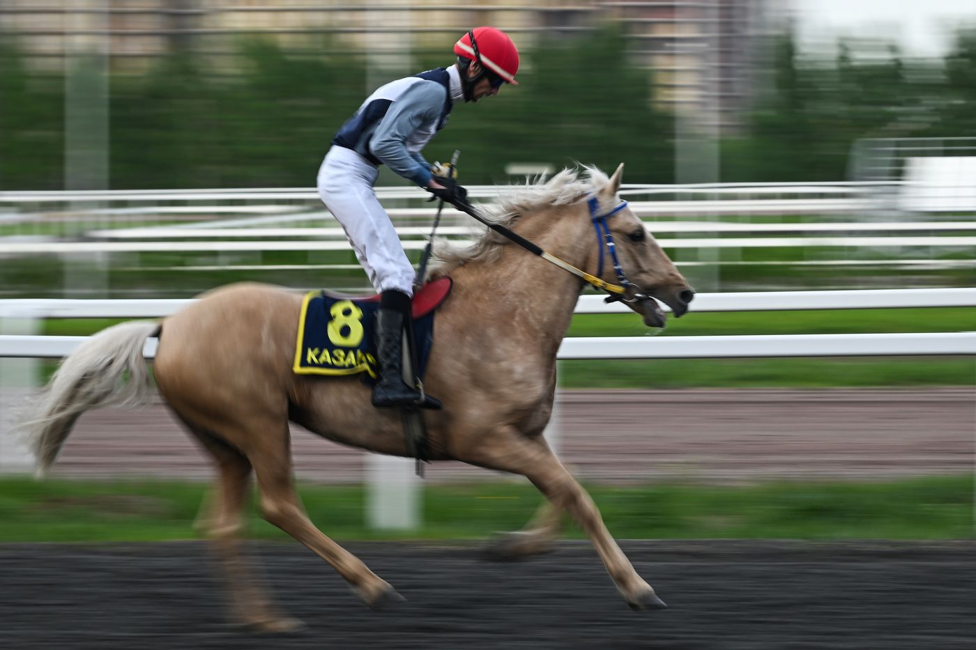 KAZANFORUM 2026. Business in the Saddle horse races and International Jockey Championship