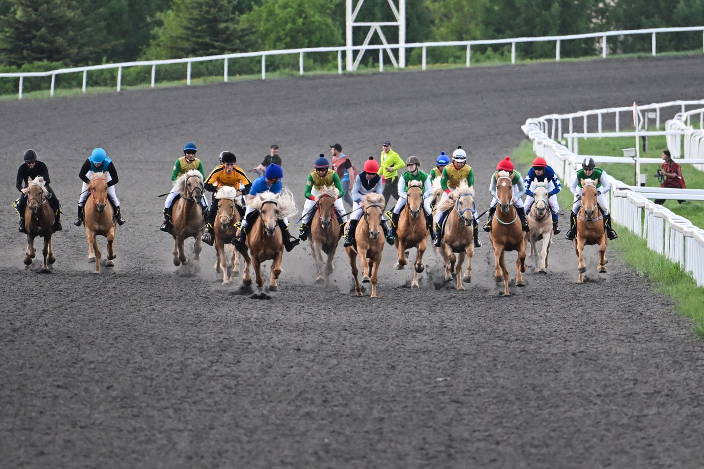 KAZANFORUM 2026. Business in the Saddle horse races and International Jockey Championship