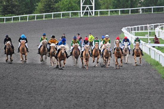 KAZANFORUM 2026. Business in the Saddle horse races and International Jockey Championship