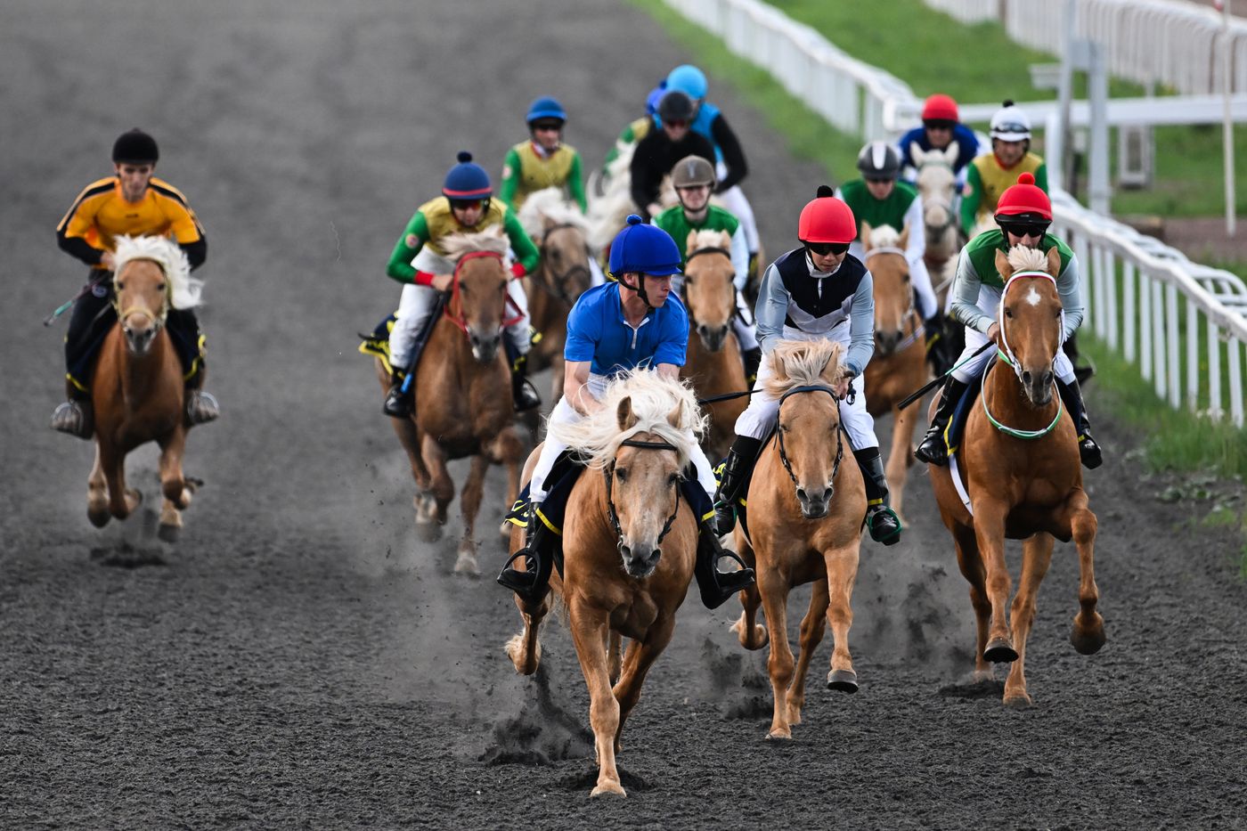 KAZANFORUM 2026. Business in the Saddle horse races and International Jockey Championship