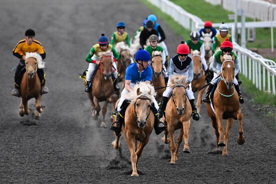 KAZANFORUM 2026. Business in the Saddle horse races and International Jockey Championship