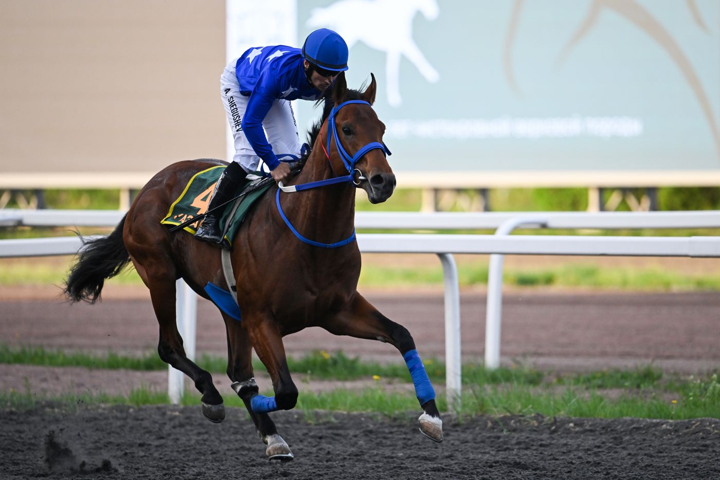 KAZANFORUM 2026. Business in the Saddle horse races and International Jockey Championship