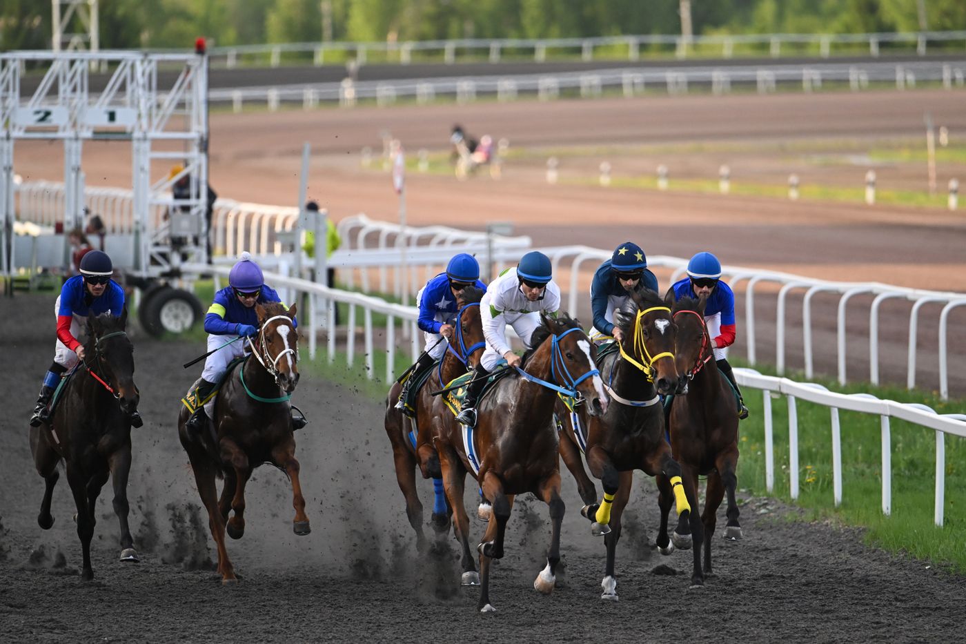 KAZANFORUM 2026. Business in the Saddle horse races and International Jockey Championship