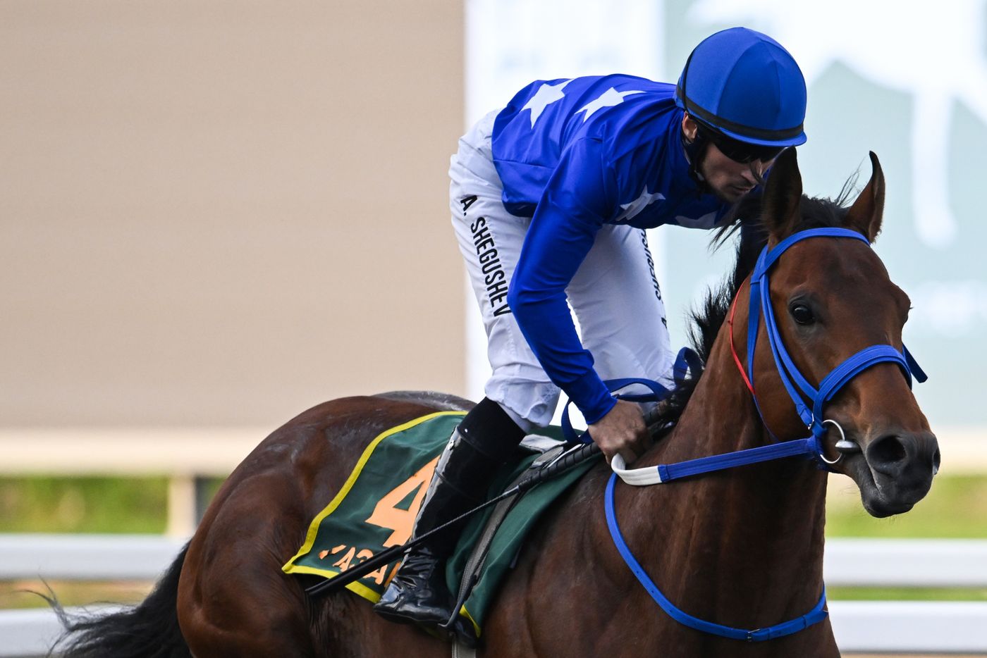 KAZANFORUM 2026. Business in the Saddle horse races and International Jockey Championship