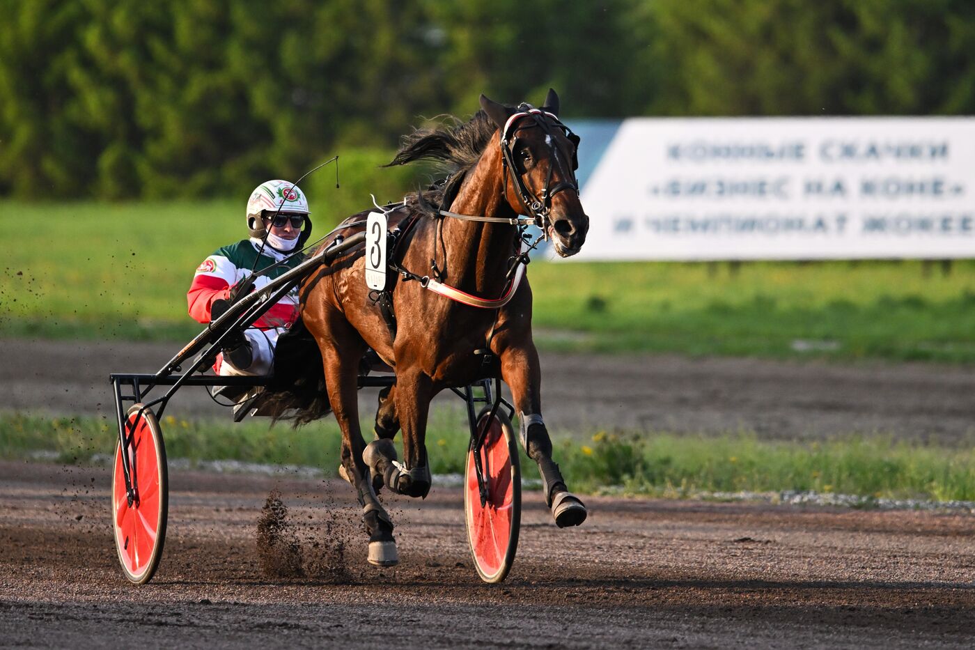 KAZANFORUM 2026. Business in the Saddle horse races and International Jockey Championship