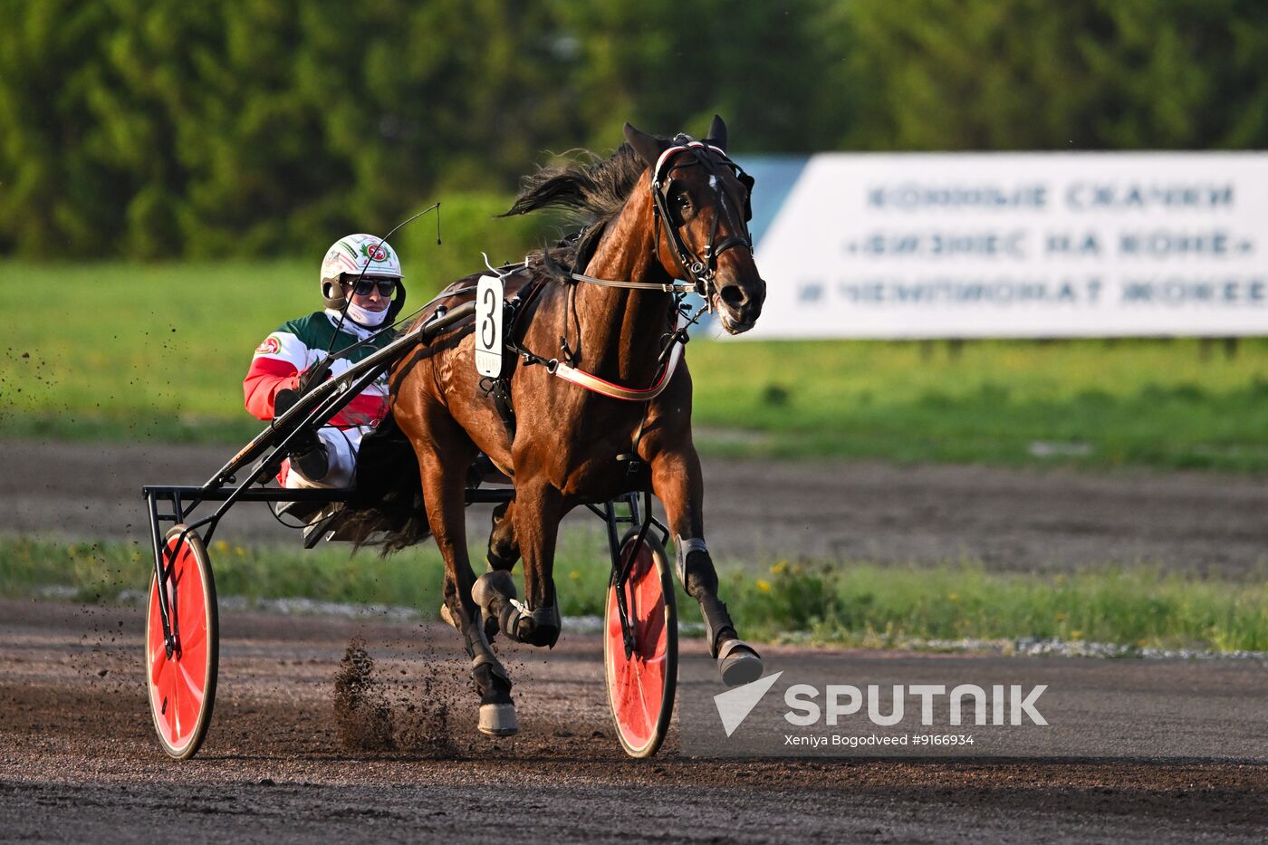 KAZANFORUM 2026. Business in the Saddle horse races and International Jockey Championship