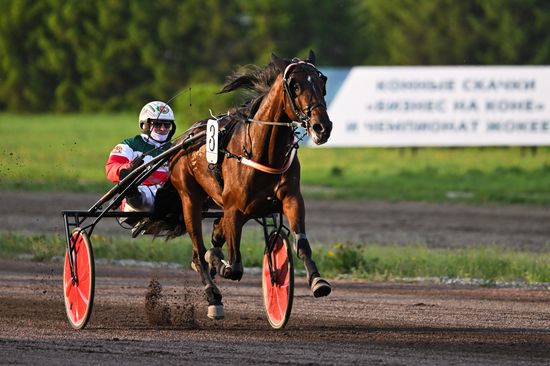 KAZANFORUM 2026. Business in the Saddle horse races and International Jockey Championship