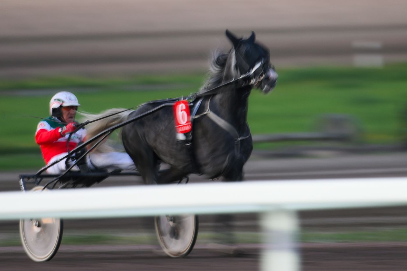 KAZANFORUM 2026. Business in the Saddle horse races and International Jockey Championship