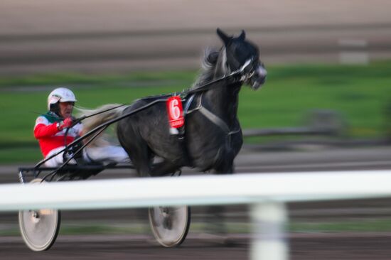 KAZANFORUM 2026. Business in the Saddle horse races and International Jockey Championship