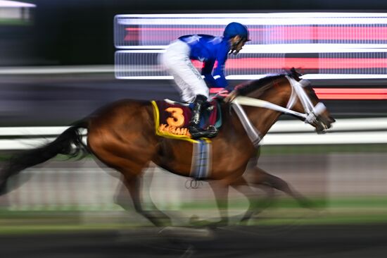 KAZANFORUM 2026. Business in the Saddle horse races and International Jockey Championship