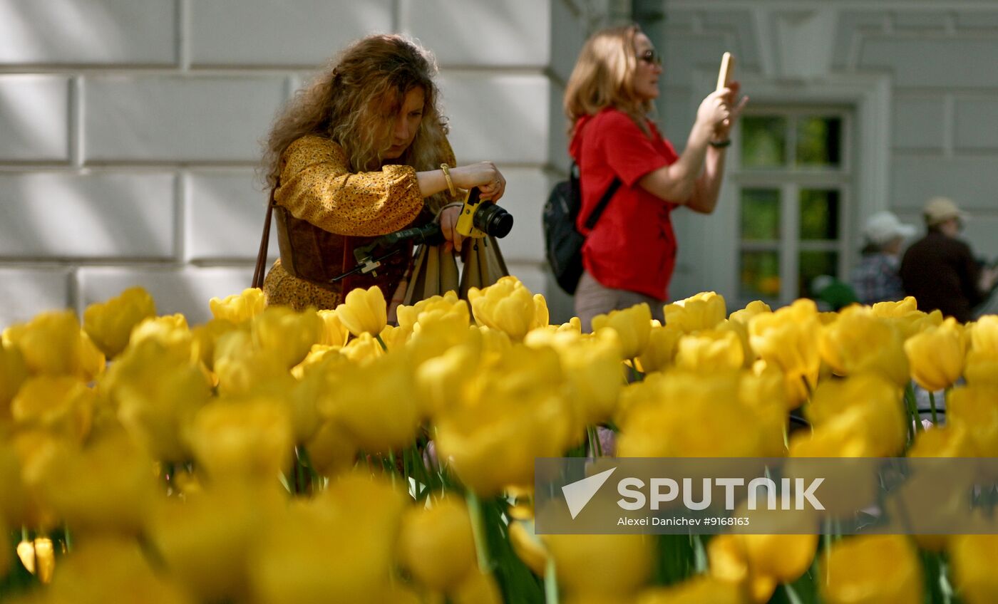 Russia Environment Tulip Festival