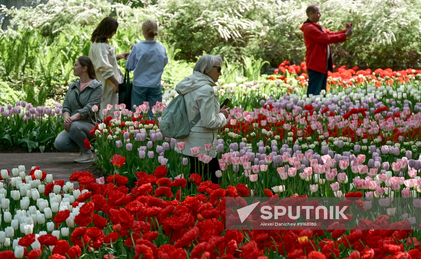 Russia Environment Tulip Festival