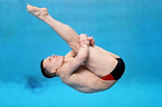 Russia Diving Championships Men Springboard
