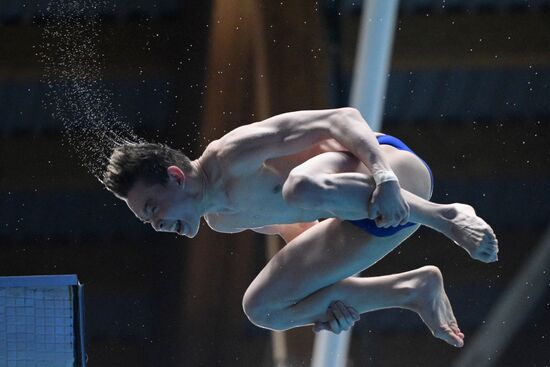 Russia Diving Championships