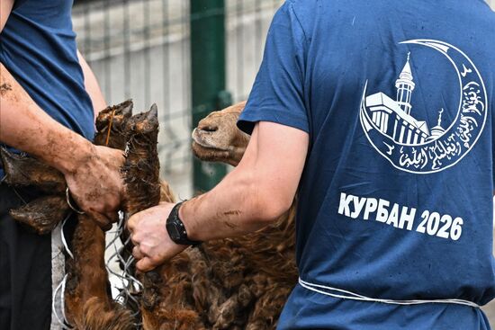 Russia Religion Eid Al-Adha