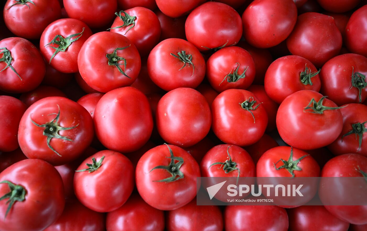 Russia Armenia Imports Restrictions