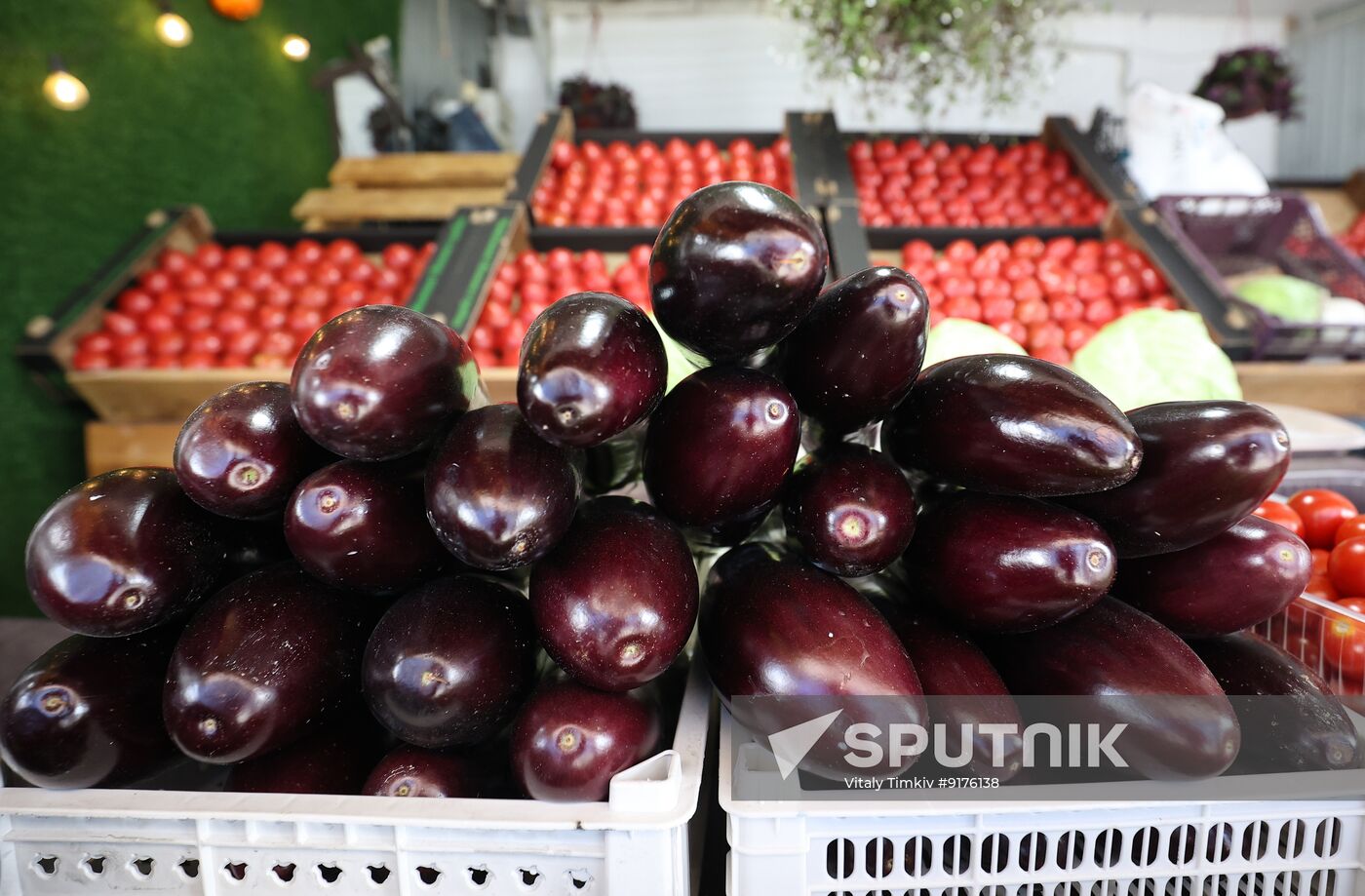 Russia Armenia Imports Restrictions