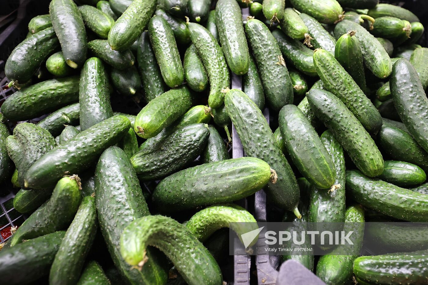 Russia Armenia Imports Restrictions