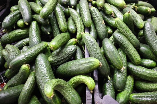 Russia Armenia Imports Restrictions