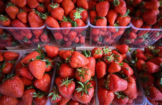 Russia Armenia Imports Restrictions