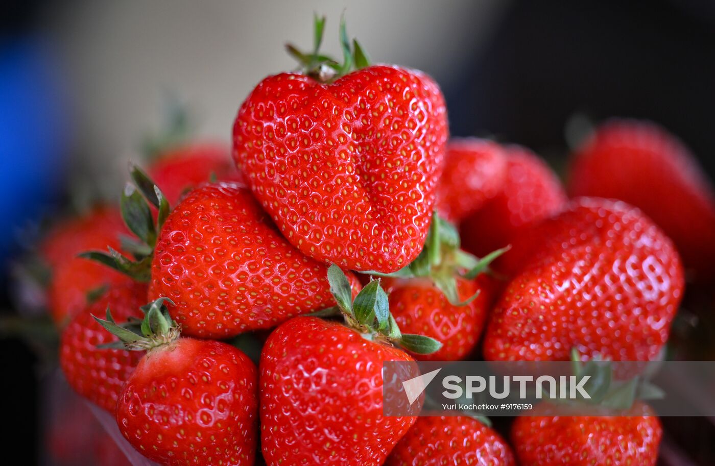 Russia Armenia Imports Restrictions