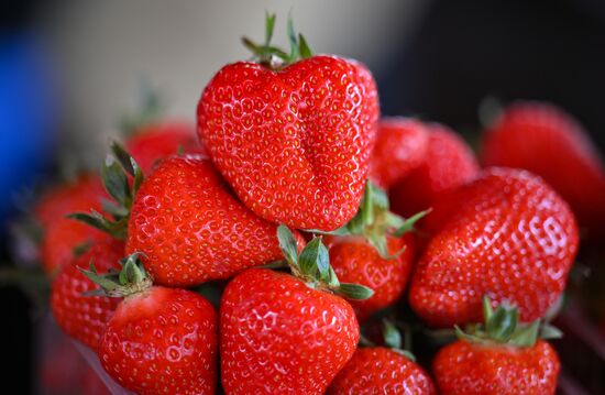 Russia Armenia Imports Restrictions