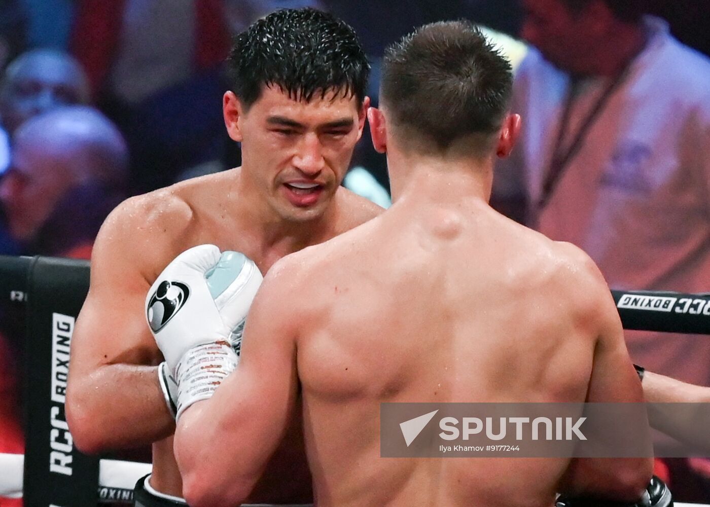 Russia Boxing Bivol - Eifert