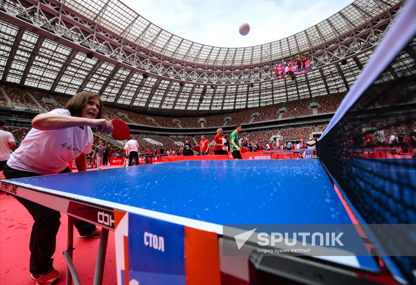 Russia Table Tennis Festival
